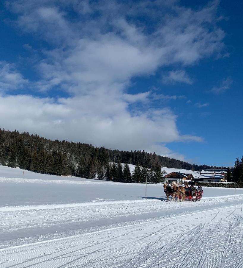 Haus Anna Appartement Ramsau am Dachstein Buitenkant foto